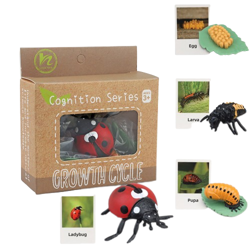 variant-image-kolor-ladybug-8-removebg-preview.png