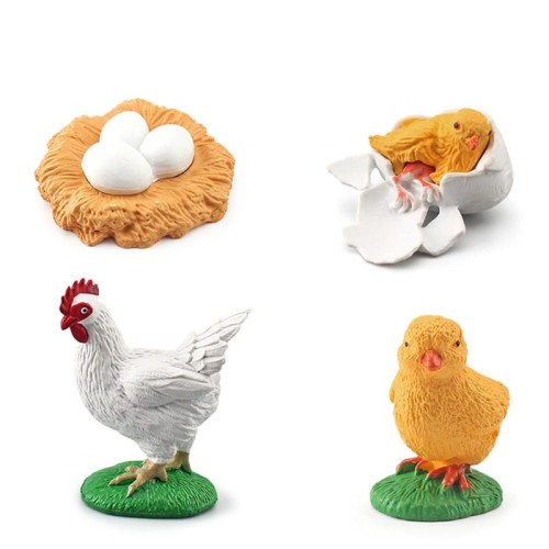 variant-image-kolor-rooster-5.jpeg
