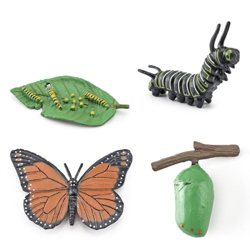 variant-image-kolor-butterfly-8.jpeg