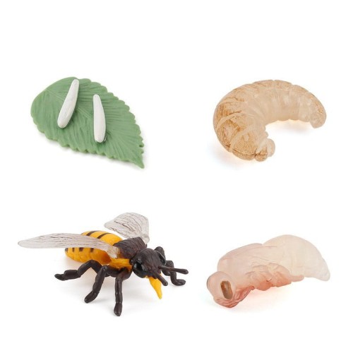 variant-image-kolor-bee-10.jpeg