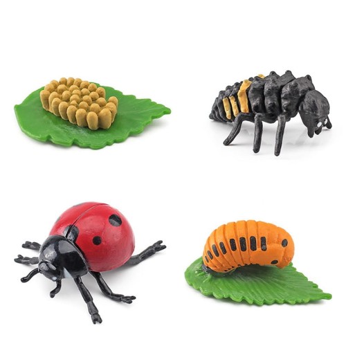 variant-image-kolor-ladybug-9.jpeg