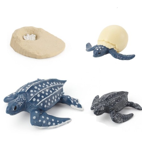 variant-image-kolor-leatherback-turtle-15.jpeg