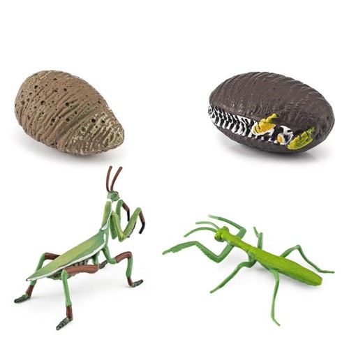 variant-image-kolor-praying-mantis-17.jpeg