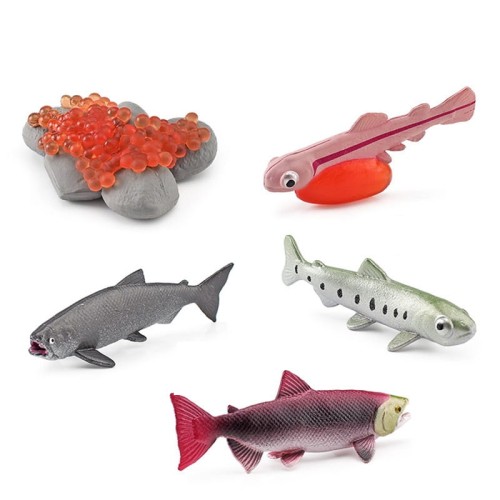 variant-image-kolor-salmon-18.jpeg