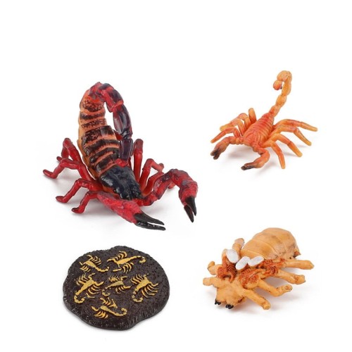 variant-image-kolor-scorpion-24.jpeg