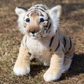 1_Nowa-symulacja-tygrys-lew-Leopard-nadziewane-i-pluszowe-zwierz-ta-urocza-lalka-dziecko-urodziny-zabawki-prezentowe.jpg
